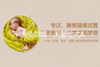 下通侯明娟：天逝世式AI为数字文娱创做收明新动能 -